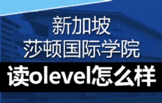 ¼ɯDWԺxolevelô