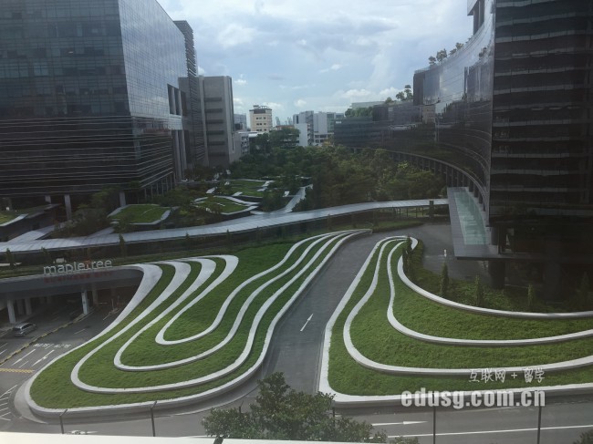 新加坡博偉國際學院專業