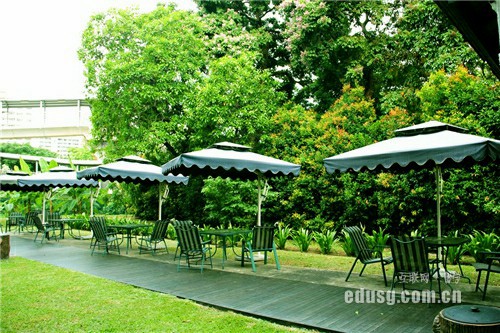 新加坡如何報名小學——S-AEIS考試