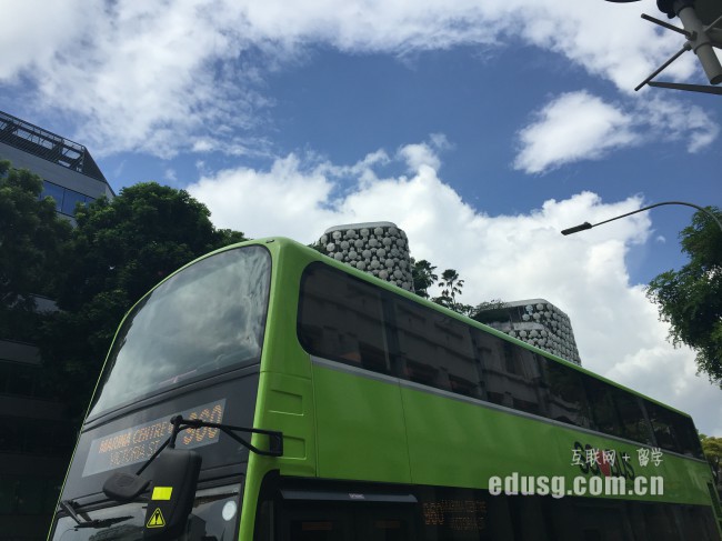 新加坡新躍大學