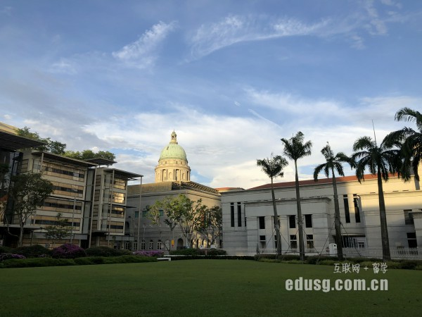新加坡新躍大學
