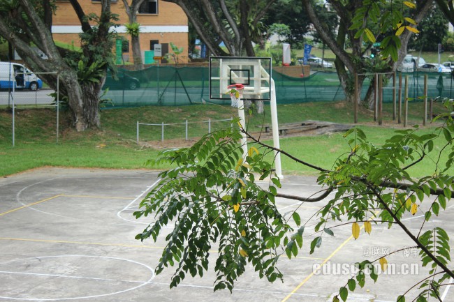 新加坡新躍大學