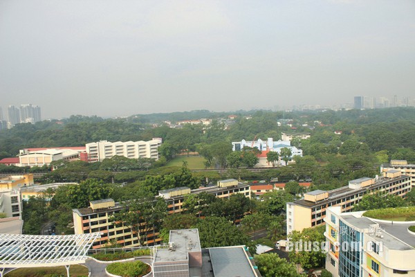 ¼WAưЩ