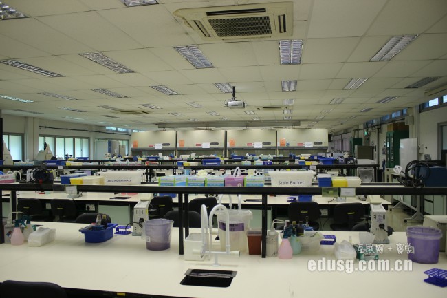 新加坡alevel試題