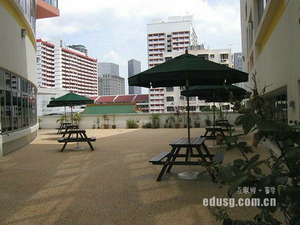 新加坡公立小學預備班:新加坡小學