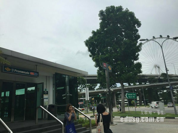 新加坡小學留學條件:年齡要求
