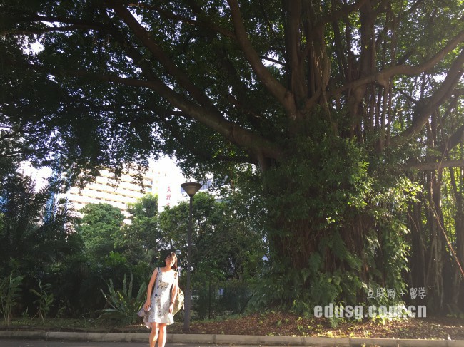 新加坡小學教育好不好