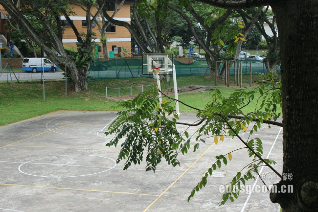 新加坡alevel試題