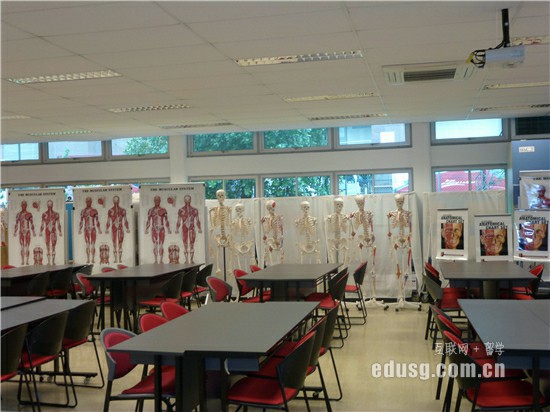 新加坡小學哪個好