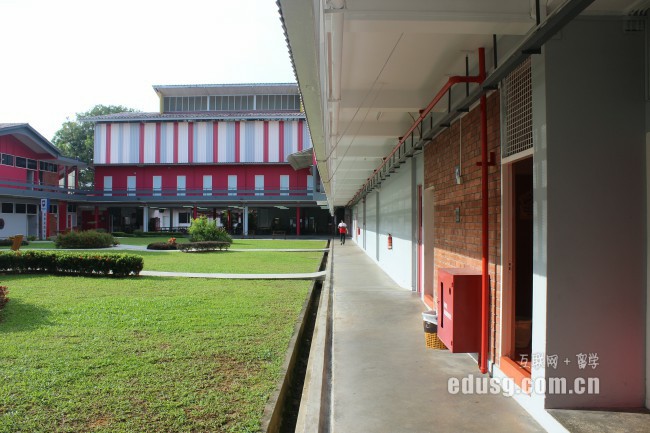 新加坡中學排名