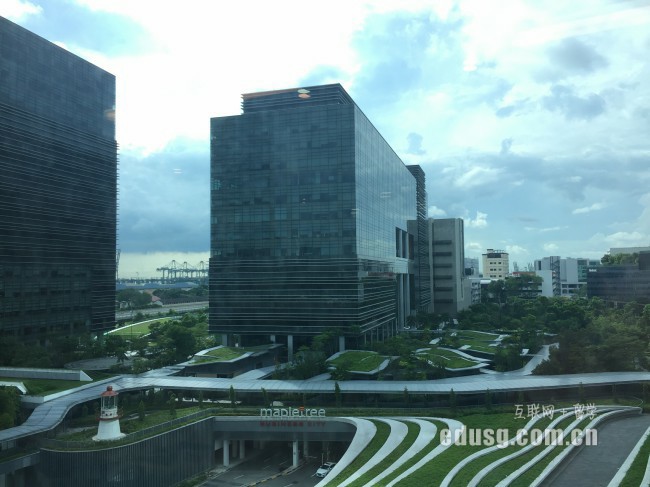 去新加坡讀IT技術(shù)課程就業(yè)怎樣