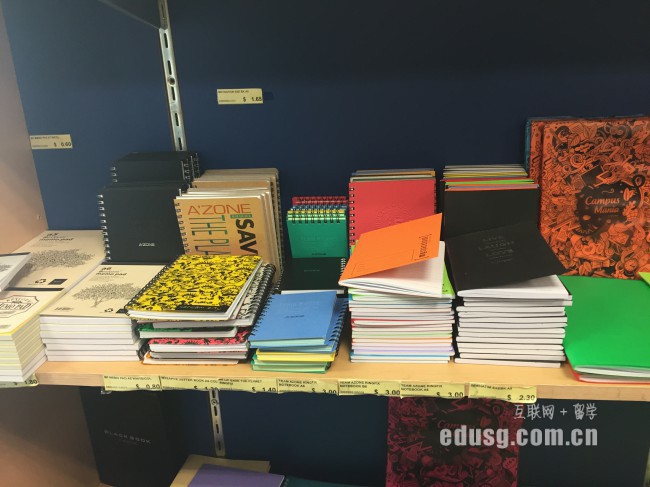 新加坡大學優勢專業