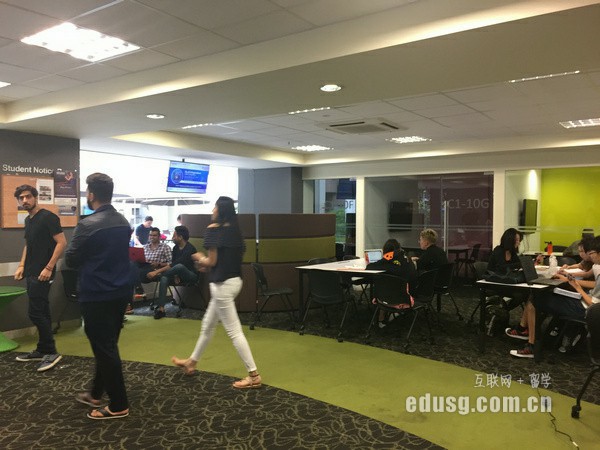 新加坡大學優勢專業