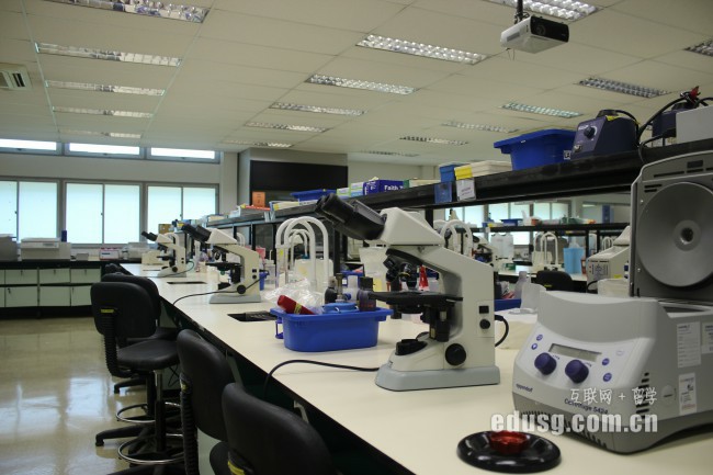 新加坡大學本科幾年制