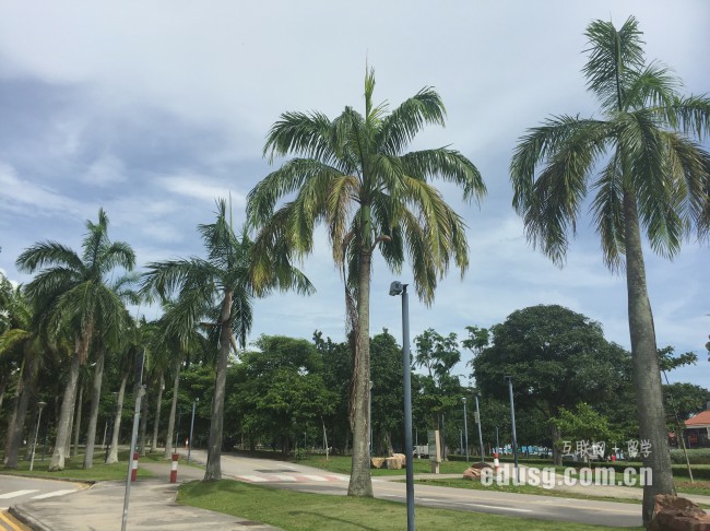 新加坡大學碩士幾年