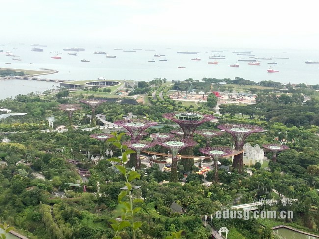 新加坡大學會計排名