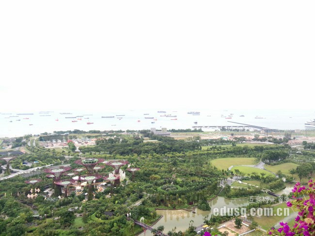 新加坡大學本科申請截止時間