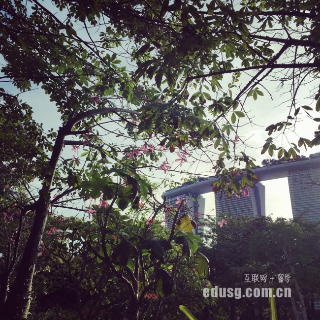 去新加坡留學哪個學校好