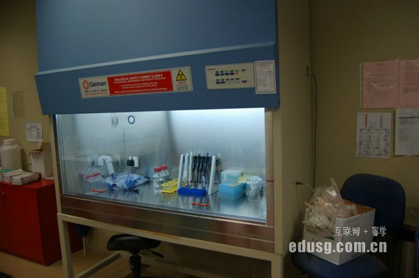 新加坡高中留學指南