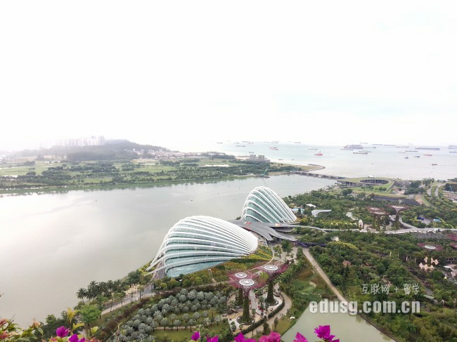新加坡a水準預科學校