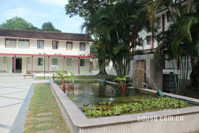 新加坡alevel考試考什么