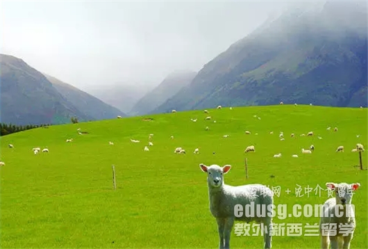 新西蘭園林碩士留學優勢