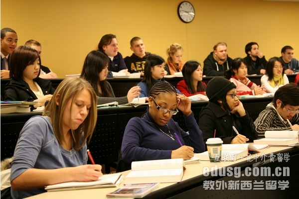新西蘭碩士申請材料