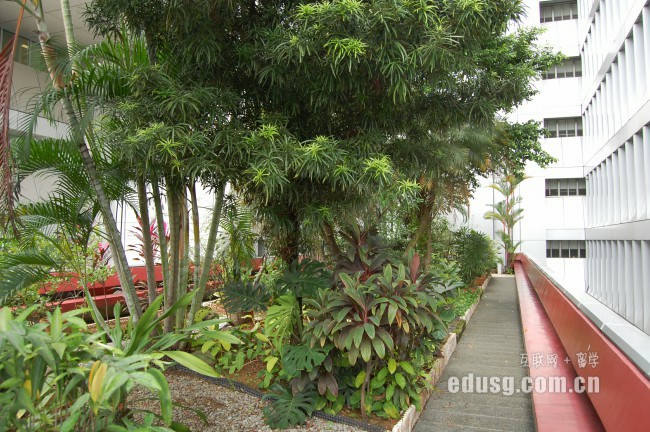 馬來西亞泰萊大學平面設計文學