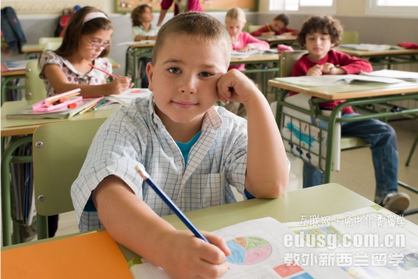 去新西蘭讀小學(xué)