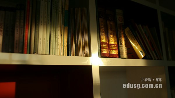 新加坡藝術碩士專業課程選擇