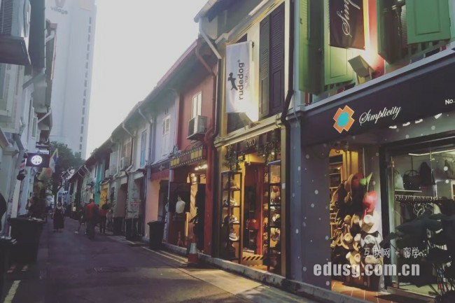 新加坡碩士留學獎學金申請書