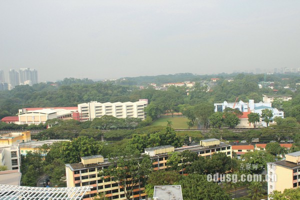 `DSW(xu)