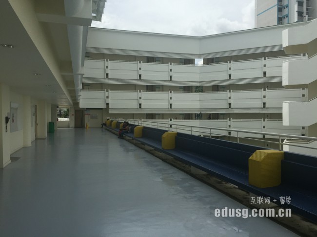 新西蘭留學(xué)要不要打工