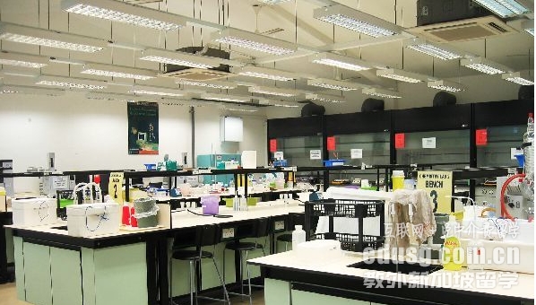 新加坡PSB學院就業