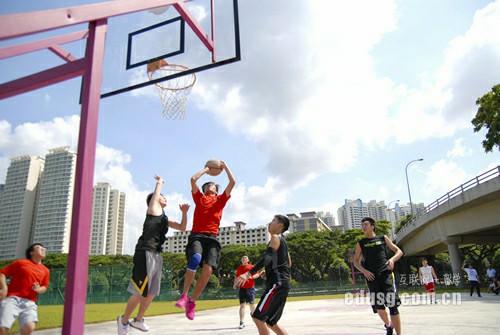 新西蘭gd課程好讀嗎