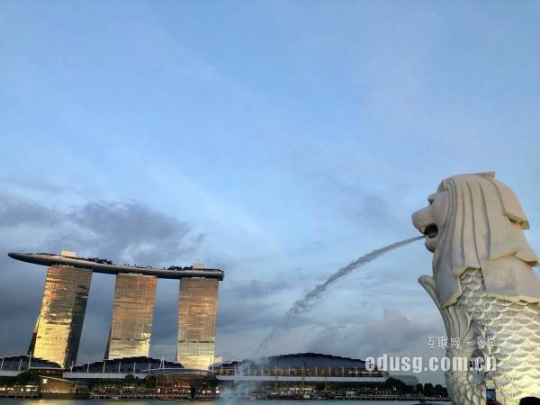 新加坡南洋理工大學本科課程設置