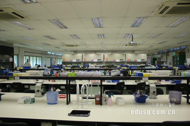 申請新加坡本科保證金