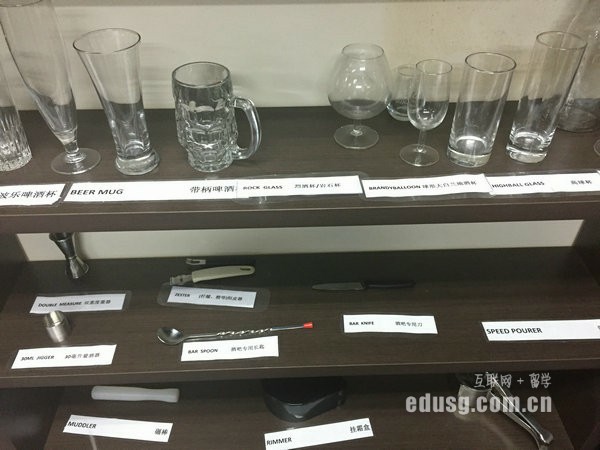 2017年去新加坡讀計算機專業