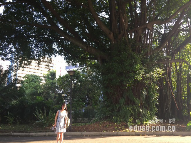 奧塔哥大學健康管理學院