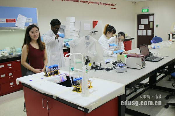 梅西大學商學院