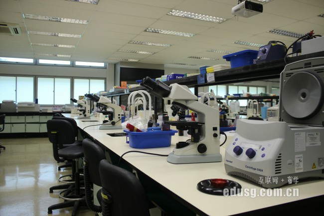 澳大利亞高中課程