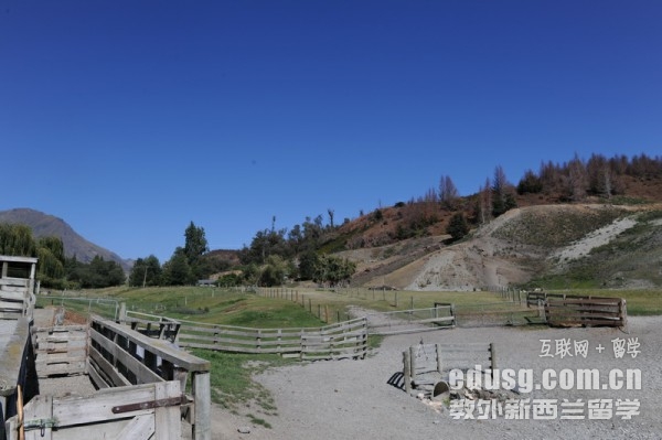 新西蘭幼兒園怎么樣