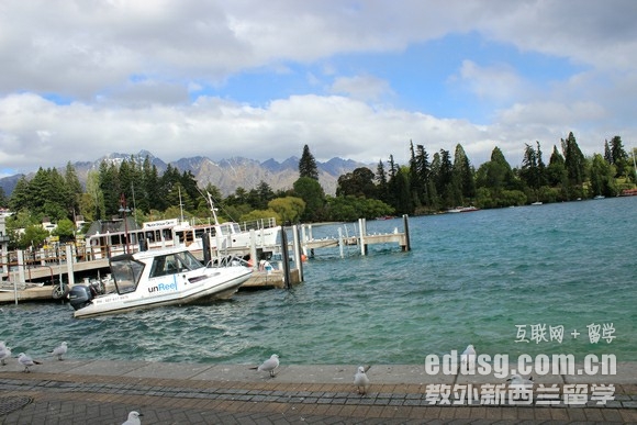 新西蘭it留學移民