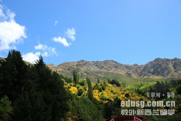 去新西蘭讀高中條件