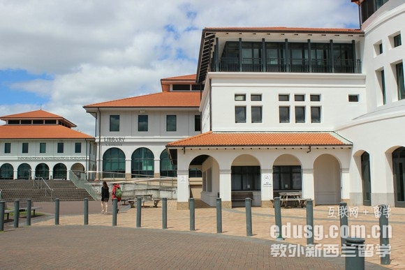 梅西大學設計系研究生