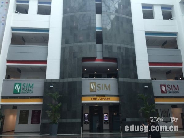 ¼simyI