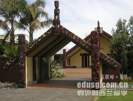 新西蘭馬努卡理工學院專業