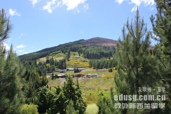 新西蘭語言學校申請大學