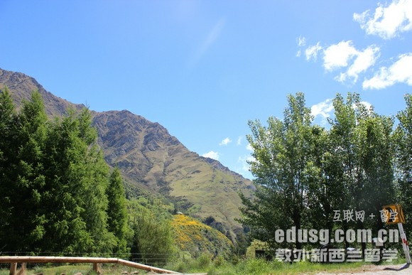 新西蘭理工學院it課程