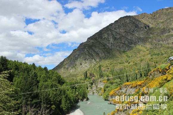 去新西蘭讀本科預科